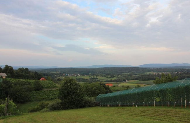 Vineyard Cottage Stepan - Foto 25