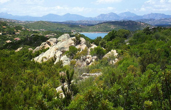 Apartment in Monte Petrosu Near San Teodoro - Foto 22