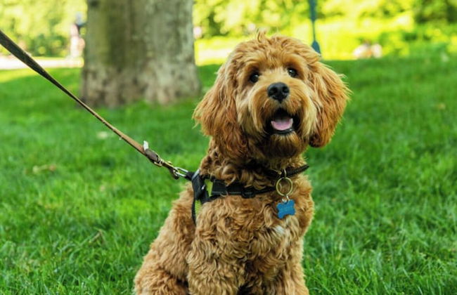 80th Place Scottsdale - Foto 27