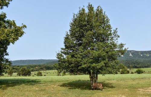 Holly Tree Retreat Located In Beautiful Luray, VA. - Foto 3