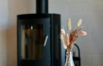 Heimathafen Langballigholz - Foto 5