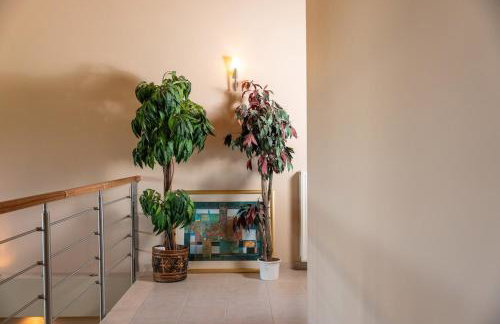 Paula Cozy Villa in Corfu - Foto 26