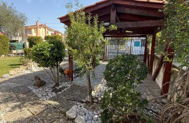 House with lake and water lilies - Foto 10