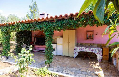 Monica's Country House - Foto 12