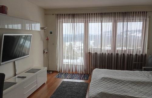 Ferienwohnung-Panoramablick - Foto 5