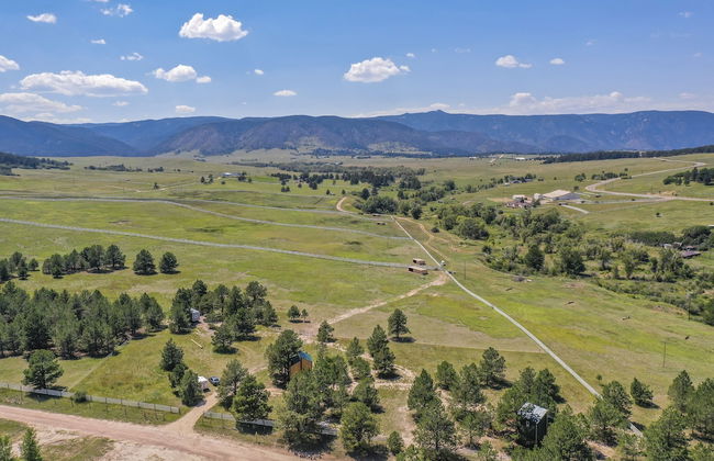 Tree Eagles Nest - Foto 41