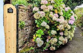 Stylish 2-BR cottage near Mousehole - garden and and parking - Photo 54