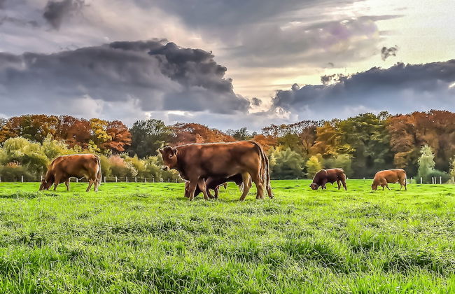 Fine Chalet near Water with Woodfired Hot Tub - Foto 28