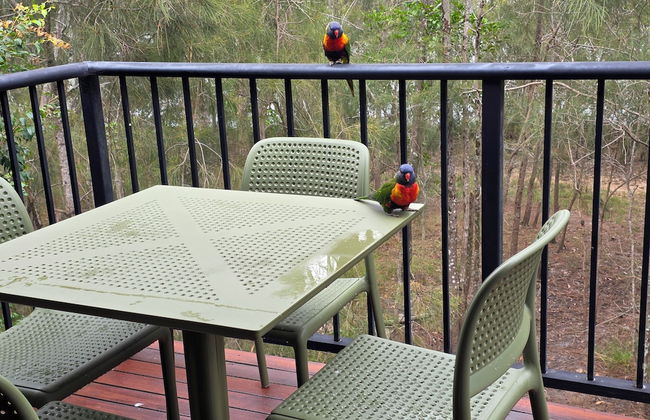 Noosa Holiday Accommodation - Foto 6
