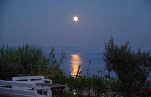 La Mer Seaside Apartments - Photo 4