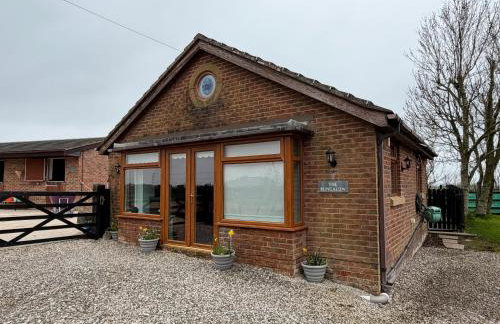 The Bungalow - Photo 13