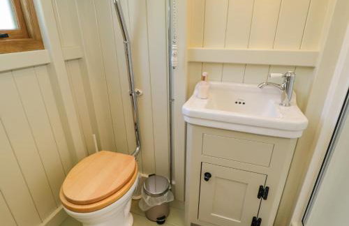 Blackthorn - Photo 11