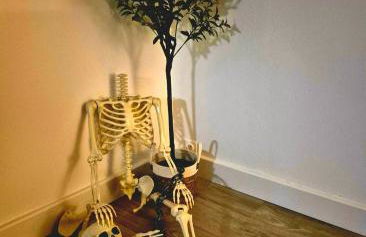 L'écrin des Forges maison cosy 1 à 6 voyageurs - Photo 48