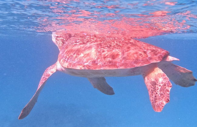 Modern Trestrapi Beach Villa 8 bed 8 Bath 2 Pools - Foto 69