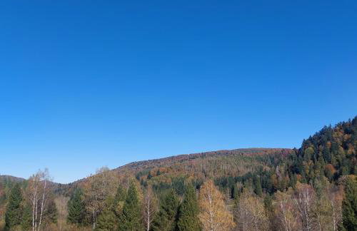 Chata pod Jelenim Skokiem - Foto 9