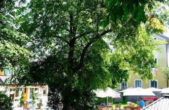 Traumurlaub WestCoast Ammersee 7 Gehminuten zum See - Foto 95