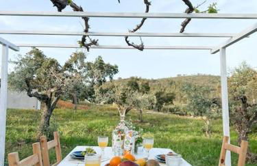 Monte da Borrega - Casa de Campo - Foto 20