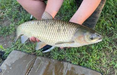 Agroturystyka nad stawami - Foto 69