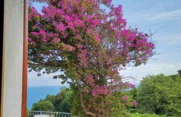 casa panoramica bouganville - Foto 8