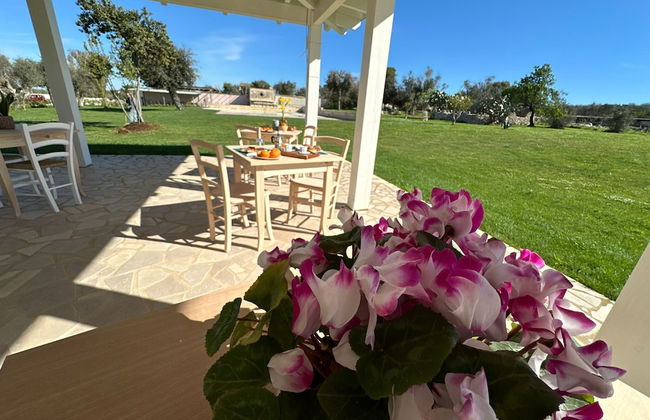 Tenuta Cursano - Foto 48