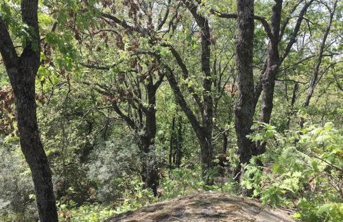 Casa Rural Finca De Musgo - Foto 42