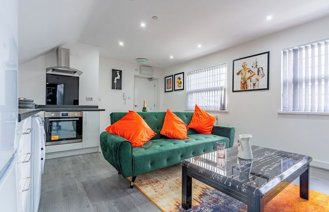 Birmingham Apt-sleeps 4-walk to City Centre-pets - Foto 12