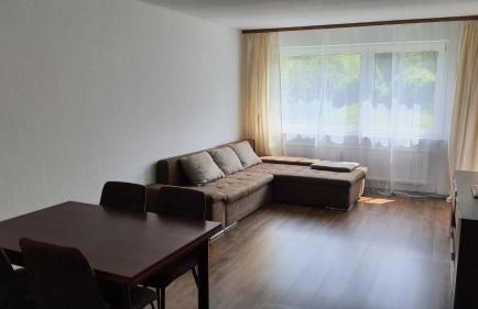 Ferienwohnung Seeblick mit Balkon - Mein Schwarzwaldhäusle - Foto 1