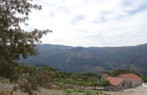 Quinta de S. Cipriano - Foto 4