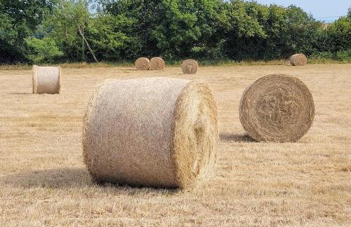 Lakeview Lodge- Uk40692 - Foto 26