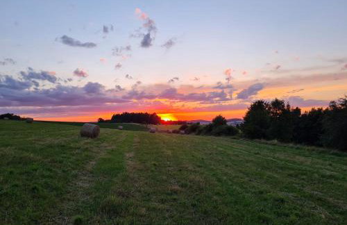 Michałówka Michaelhof - Foto 72