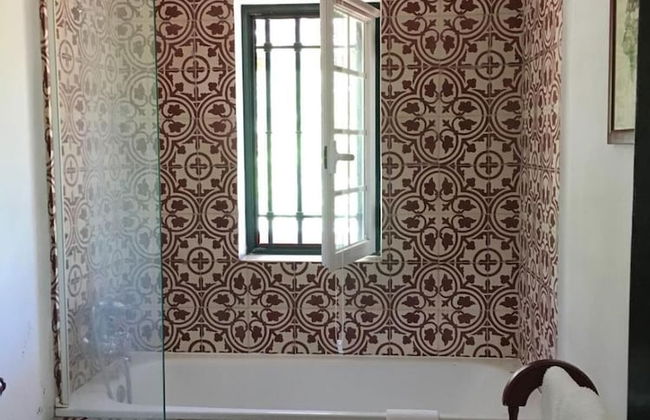 Moinho do Álamo - Foto 34