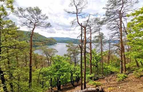 Ferienhaus Schöne Aussicht Ferienwohnung Gelb - Foto 23