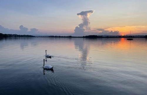 Unique! jacuzzi privé 35°C + cinéma Villa entière - Foto 26