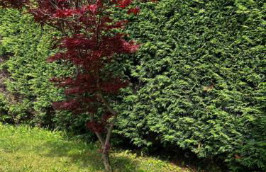 La Casa de Blanca - Foto 18