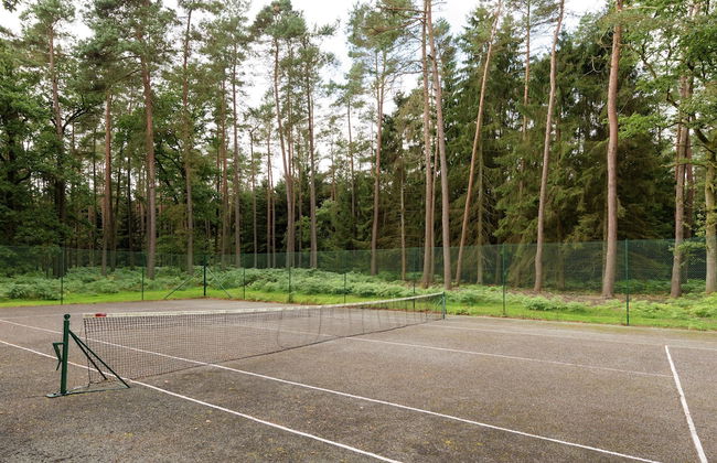 Tenneville Villa With Sauna - Photo 29