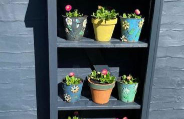 Bramble Cottage on the edge of Exmoor - Foto 22