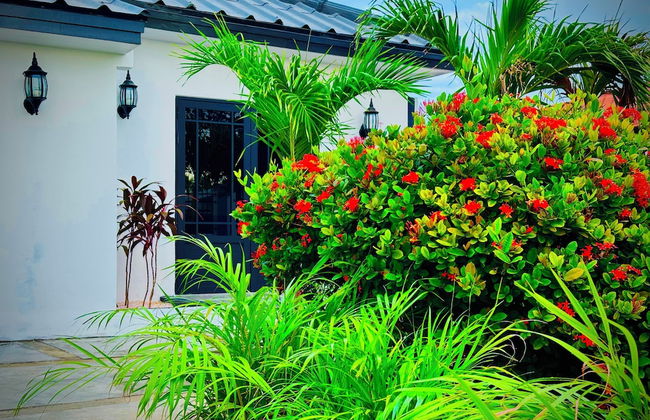 Eagle Stays Aruba - Foto 63