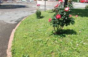 APPARTAMENTO IN RESIDENCE - Foto 29