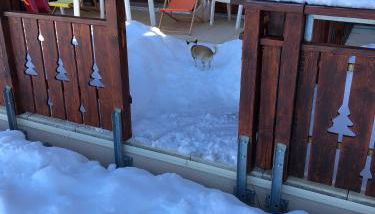 l'appart accès direct sur les pistes - Photo 2