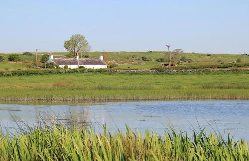 Palmallet Cottage - Foto 24