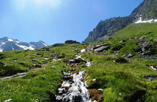 Almhaus Pfister OHG - Foto 77