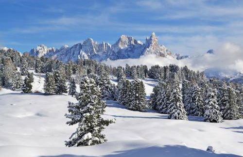 Apartment Chalet Baita Tabià Dolomites by Interhome - Foto 73