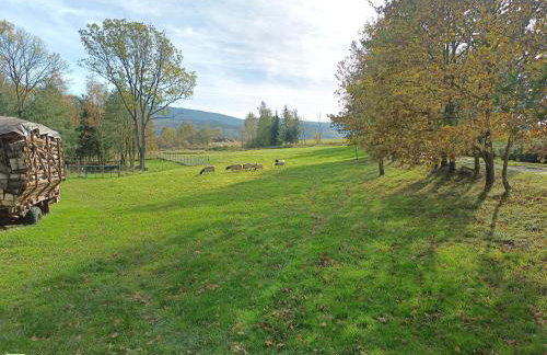 Agroturystyka nad potokiem - Foto 47