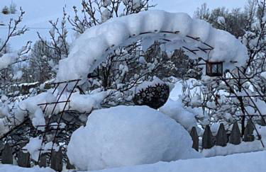 Residence Burghof - Foto 80