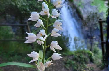 Mosteirinho - Foto 15