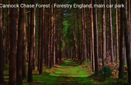 Uebert Heights 2bed Slps up to 6 Central Cannock Location 5min Walk to Cannock Town - Foto 2