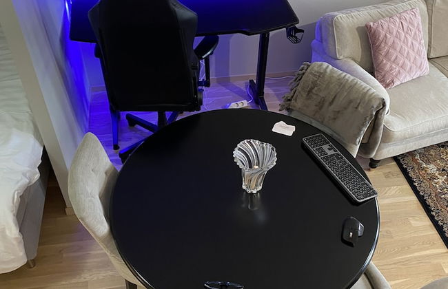 Remarkable Studio Apartment Near Arlanda Airport - Photo 4