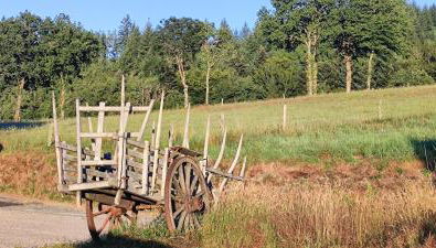 Le Pas du Loup - Photo 3