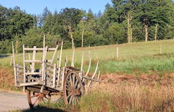 Le Pas du Loup - Photo 3