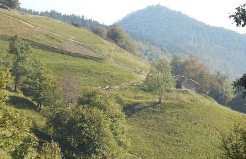 Agriturismo Fiorendo - Photo 26